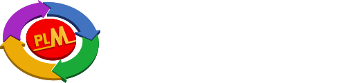 PLM EXECUTIVES HEALTHCARE & SERVICES, LLC